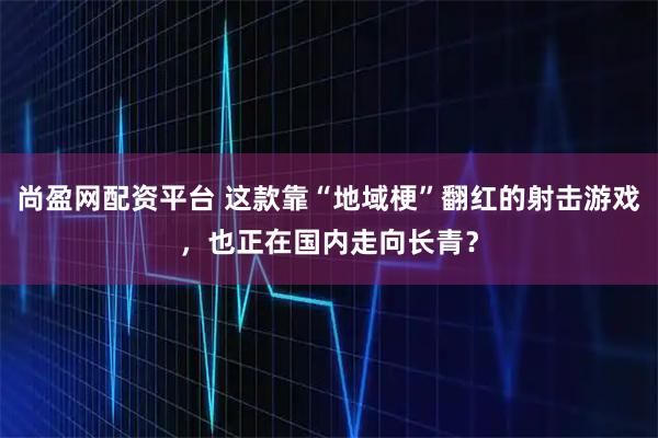 尚盈网配资平台 这款靠“地域梗”翻红的射击游戏，也正在国内走向长青？